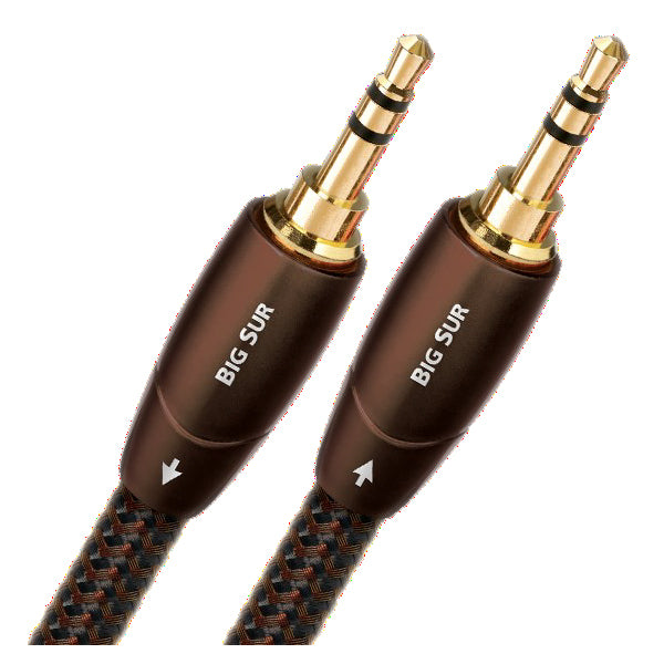 audioquest BIG/2XSTM – e☆イヤホン