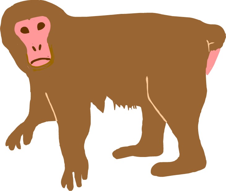 猿、 サル、 イラスト、 無料