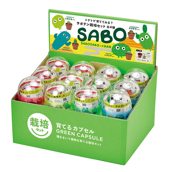 まとめ買い】サボテン栽培キット 聖新陶芸GD921育てるカプセル