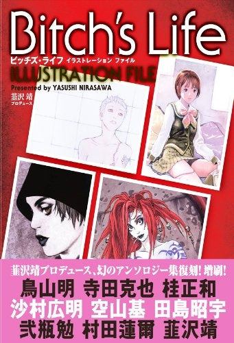 Bitch's Life Illustration File (1 volume in total) – world-manga10