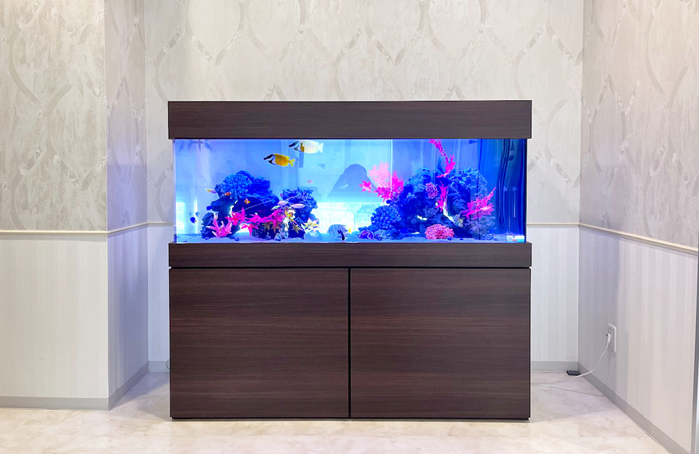 エントランスにレンタル！クリニック様の150cm大型海水魚水槽｜東京