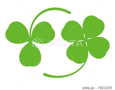 四つ葉のクローバーと三つ葉のクローバーのイラスト素材 [7823205] - PIXTA