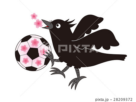 八咫烏とサッカーのイラスト素材 [28209372] - PIXTA