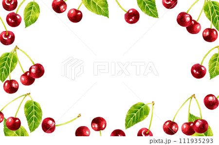 アメリカンチェリー（さくらんぼ）の背景 フルーツの手描き水彩