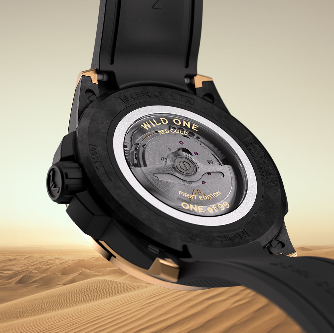 ノルケイン〉ワイルドワン ゴールド リミテッドエディション【世界限定