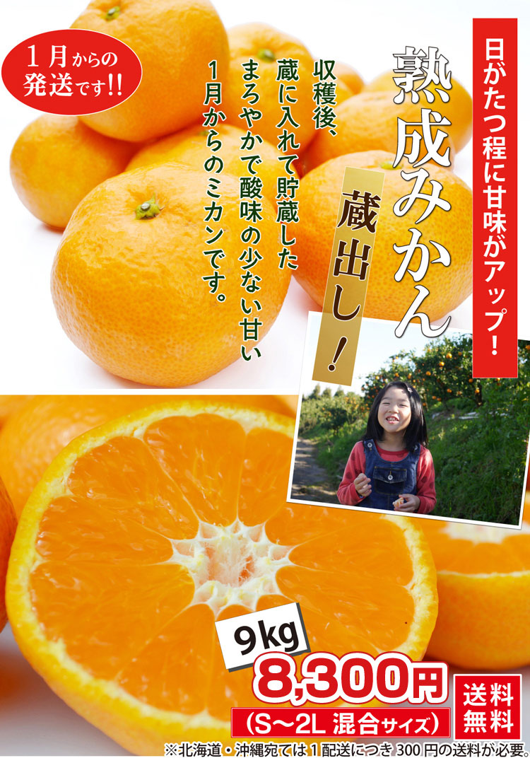 蔵出し！熟成みかん（温州みかん） 9kg