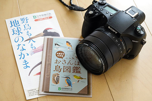 サイバーショット『DSC-RX10M4』でバードウォッチング - ソニーの新