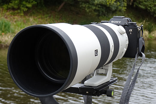 レビュー】α1でまっさきに試したかった『鳥瞳AF』と『8K動画撮影』の話