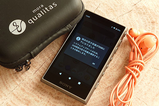 Tips】ウォークマンA105の空き容量が足りなくなったときの話 - ソニー