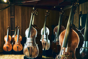 PIRASTRO（ピラストロ）PERPETUAL（パーペチュアル）コントラバス弦