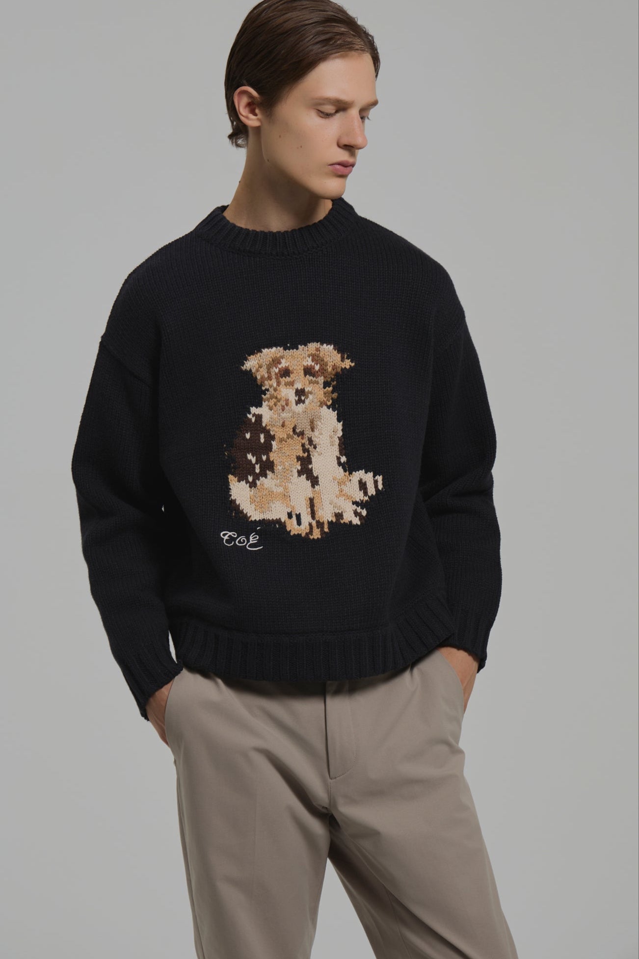 Schloss Dog Knit – THE TOÉ
