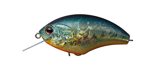 Blitz Max – The Hook Up Tackle