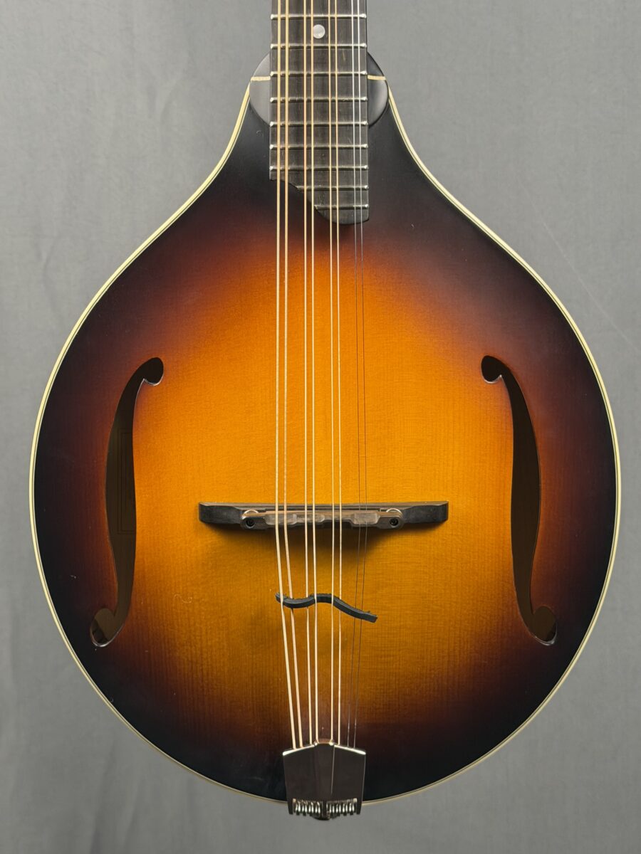 Eastman MDO305 Electric Octave Mandolin - Mandolin Store