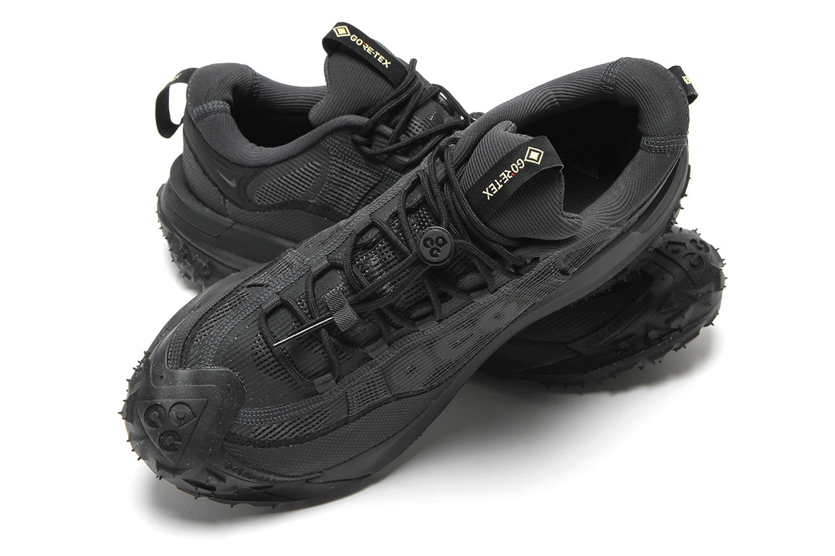 ACG Mountain Fly 2 Low Gore-Tex – Premier