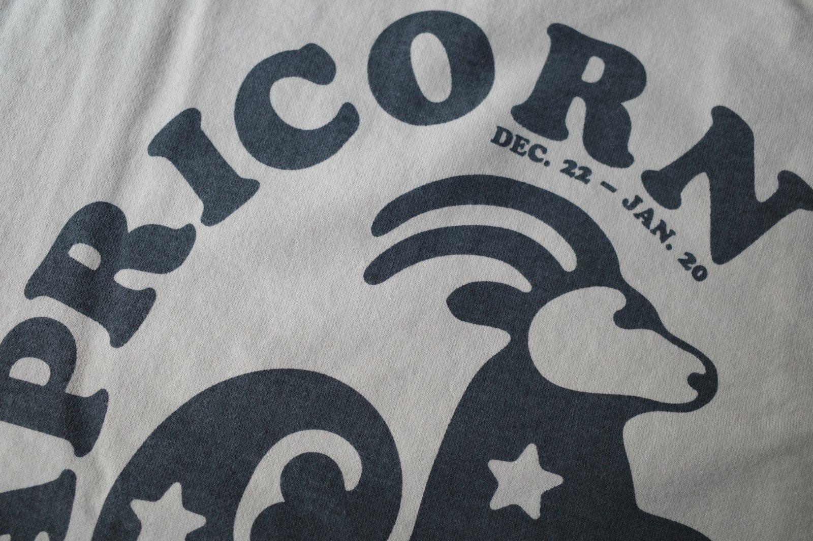 NEXUSVII. CAPRICORN CREW SWEAT・BEIGE - tity