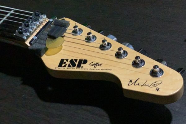 ESP SNAPPER-7／Fujioka Custom レビュー – Yasu's Guitar Blog