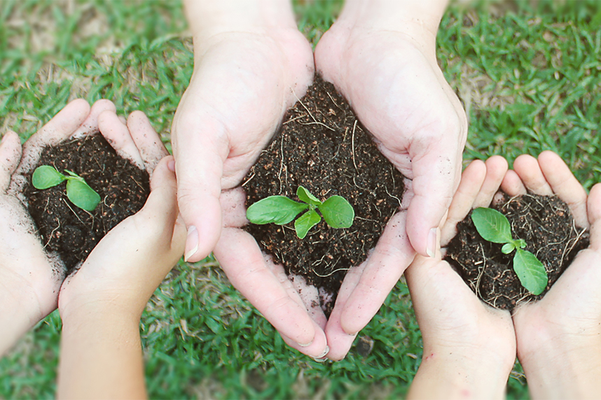 天使の寝床（おひなシーツセット） | 製品情報 | トコちゃんベルトの
