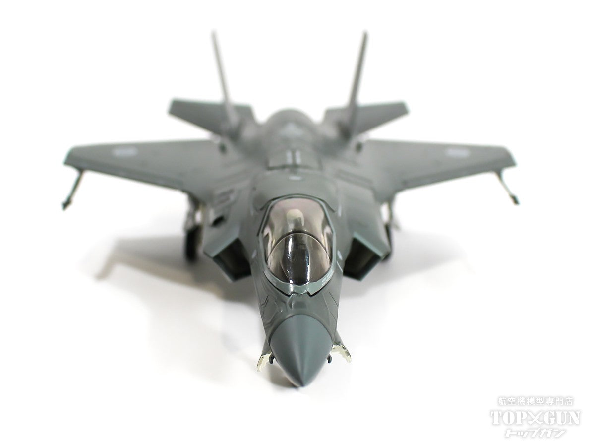 Hobby Master F-35B 航空自衛隊 第3航空団 第301飛行隊（想定） （主翼