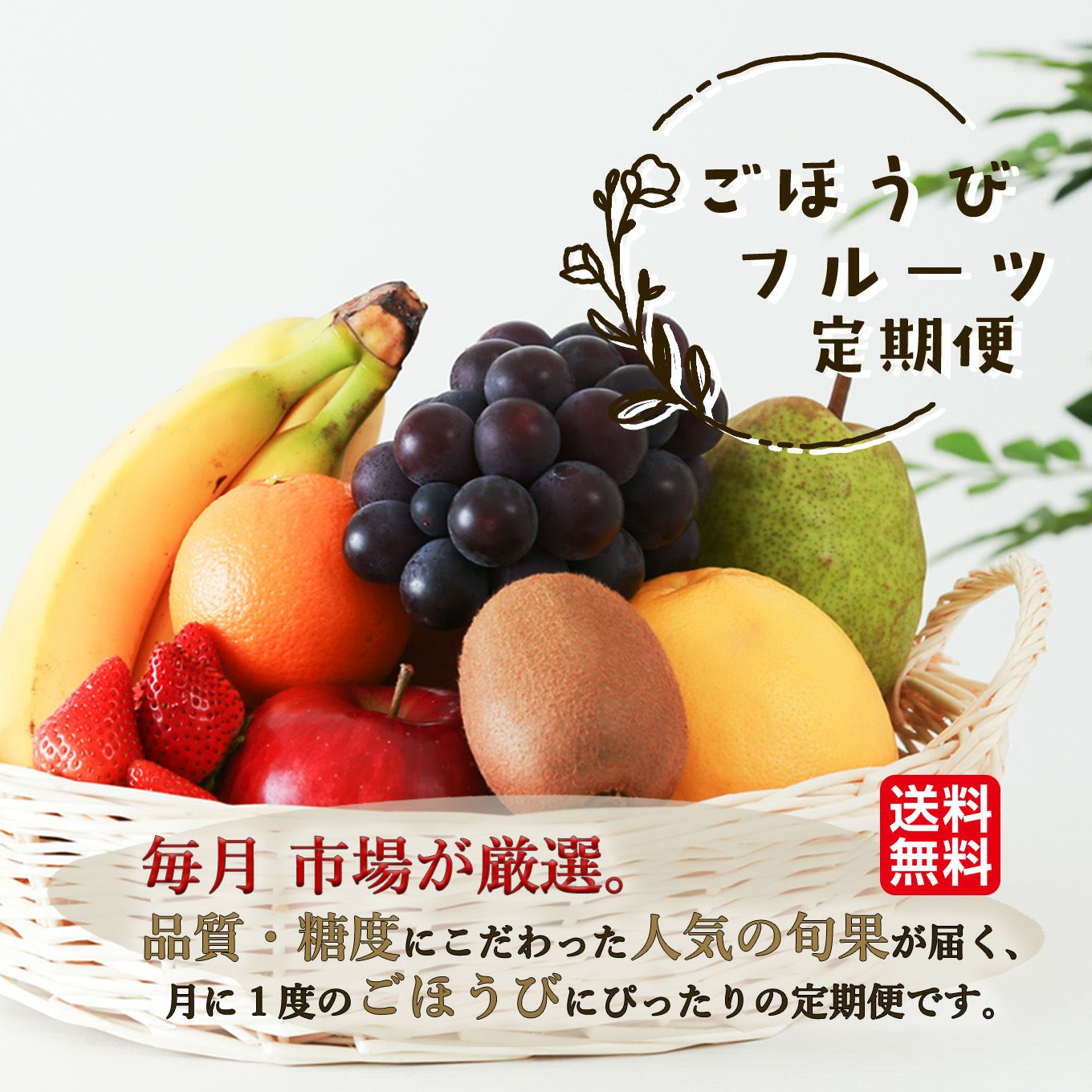 フルーツ畑の恵み詰め合わせ定期便 - 果物・フルーツのお取り寄せ通販