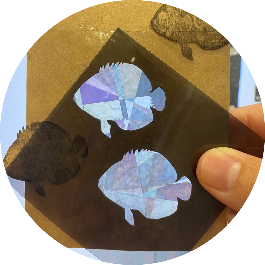 夏休みイベントのお知らせ|土佐清水ジオパーク公式サイト