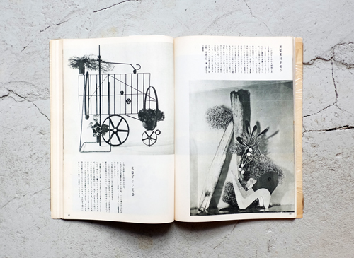 古書古本 Totodo：勅使河原蒼風作品集 新しいいけばなの指導書