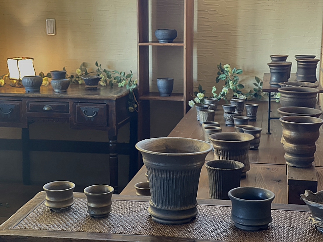 YOKOYAMA CAUDEX ART益子本店 ～塊根植物とアガベ鉢専門店～ | 益子焼