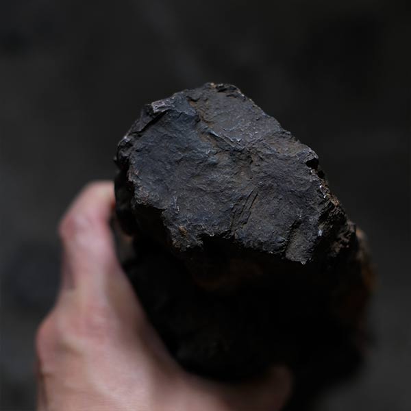 木化石（珪化木） – zakka store towi