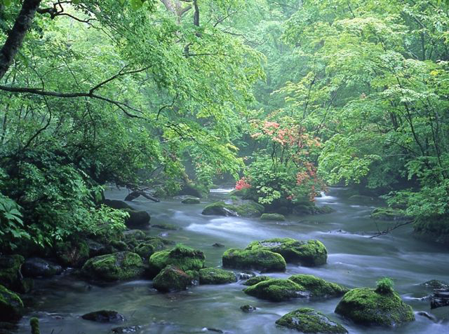 十和田湖・奥入瀬渓流の魅力 ～深呼吸したくなる十和田湖・奥入瀬