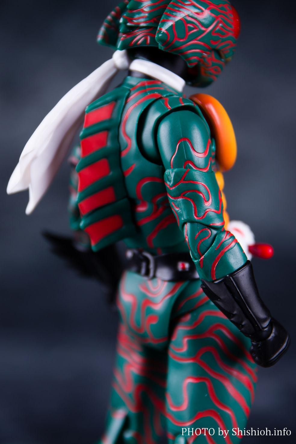 レビュー】 S.H.Figuarts（真骨彫製法）仮面ライダーアマゾン