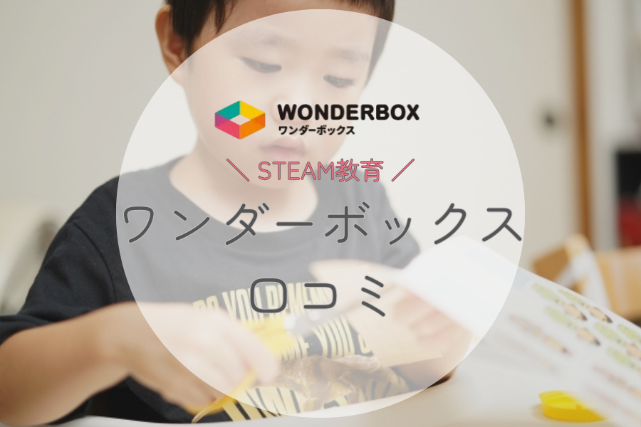 ワンダーボックスの口コミ・評判を紹介