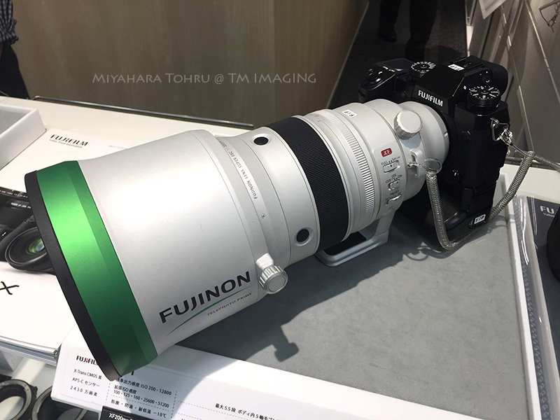 ならば我も我が道を往こう | ティエム・イメージング