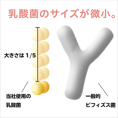 2000億個すごい乳酸菌ドリンク（プレーン）×50本 ためせる｜Vポイント