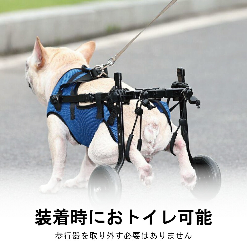 楽天市場】＼楽天1位／犬用車椅子 歩行器 車いす 後ろ足 2輪 歩行補助