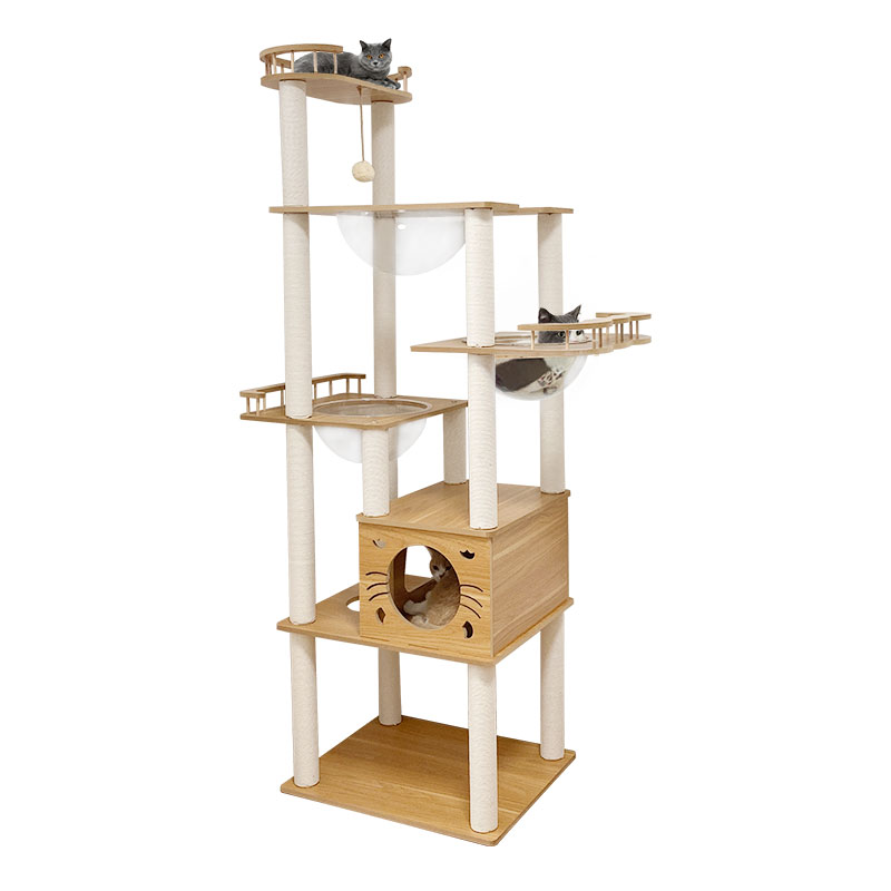 楽天市場】【SS限定！2000円OFF⇒9798】＼楽天1位／RAKU キャット