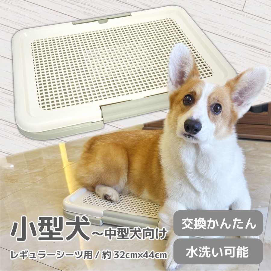 楽天市場】犬 トイレトレイ ワイド pecolo Toilet Tray M Wide