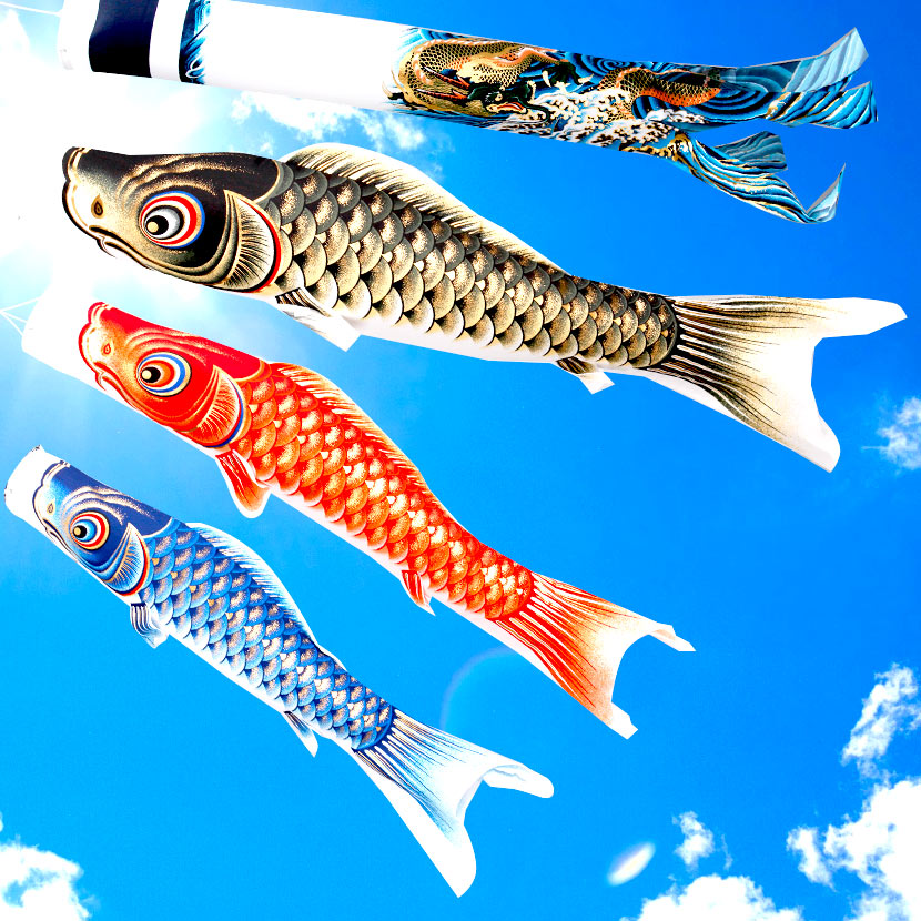 楽天市場】【3/1限定全品ポイント2倍】こいのぼり 鯉のぼり 日本製 お