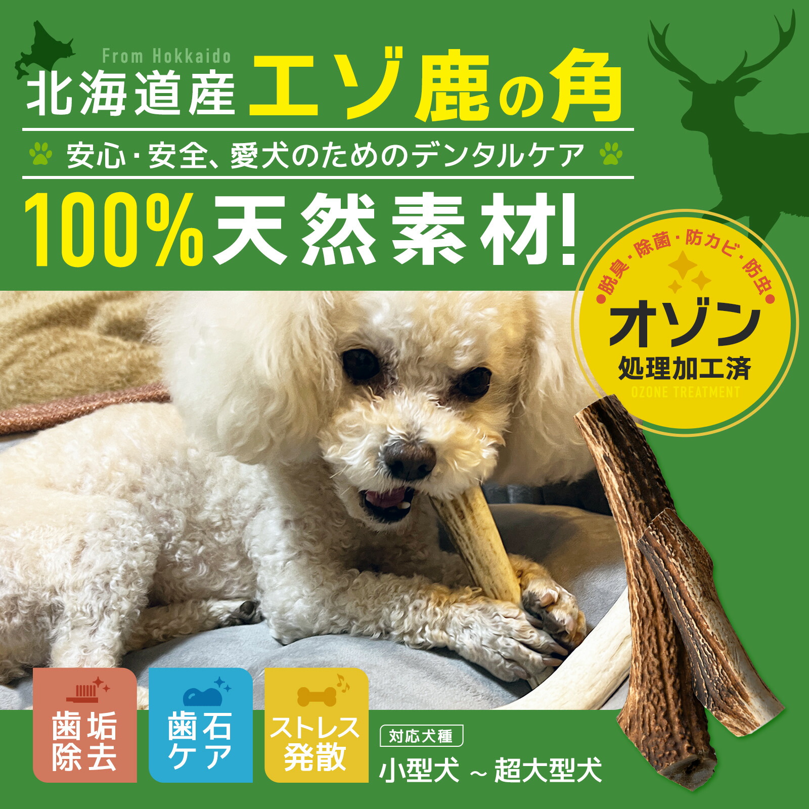 楽天市場】安心のオゾン処理加工◇犬のおもちゃ鹿の角 蝦夷鹿◇北海道