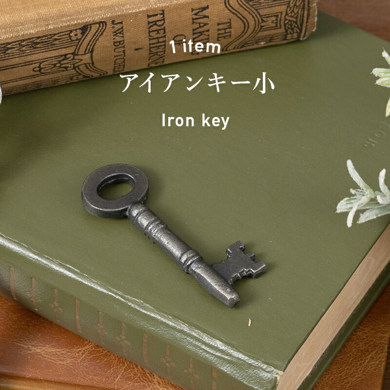 楽天市場】[全品10％OFF×5日限定クーポン+P10倍 5日20時〜4H]アイアン