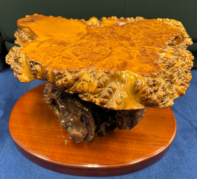 楽天市場】送料無料 木の根 飾り台 W54.5cm 高級 花台 盆栽卓 根卓 飾