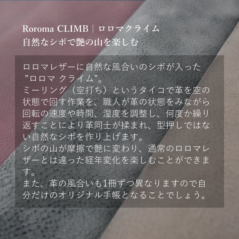 楽天市場】Davinci×NAGASAWA システム手帳 ロロマ クライム A5 30mm