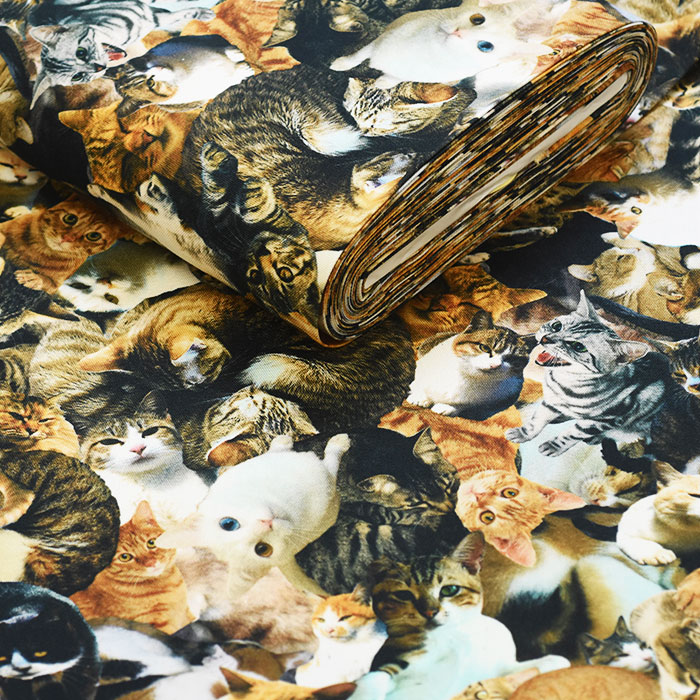 楽天市場】【スーパーSALEはポイント5倍】ネコちゃん大集合（オックス