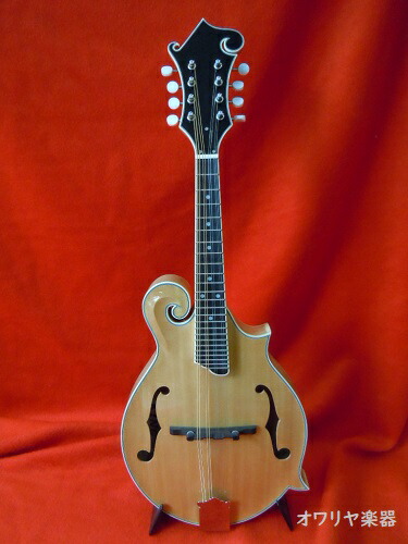 楽天市場】フラットマンドリン総単板シダー・ハードケースセット f60c