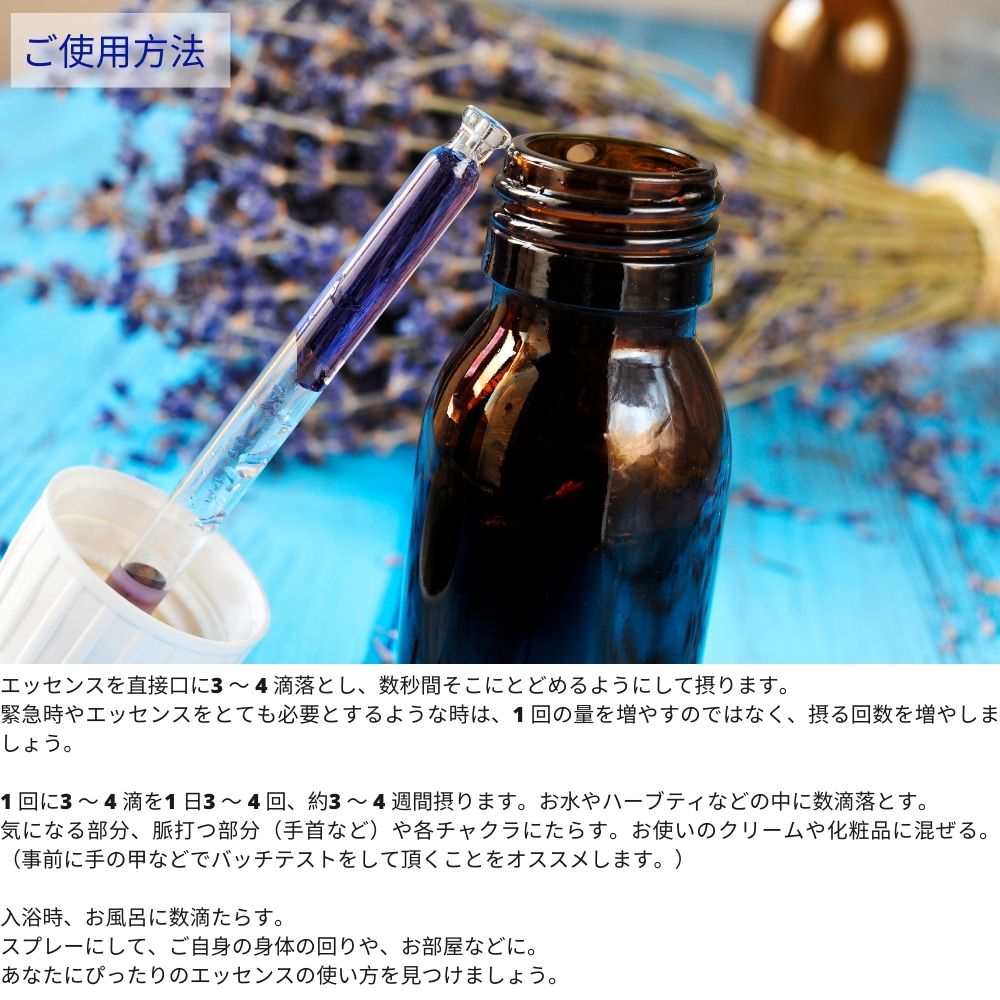 楽天市場】BOOST ブースト 強化 オーストラリアンブッシュ