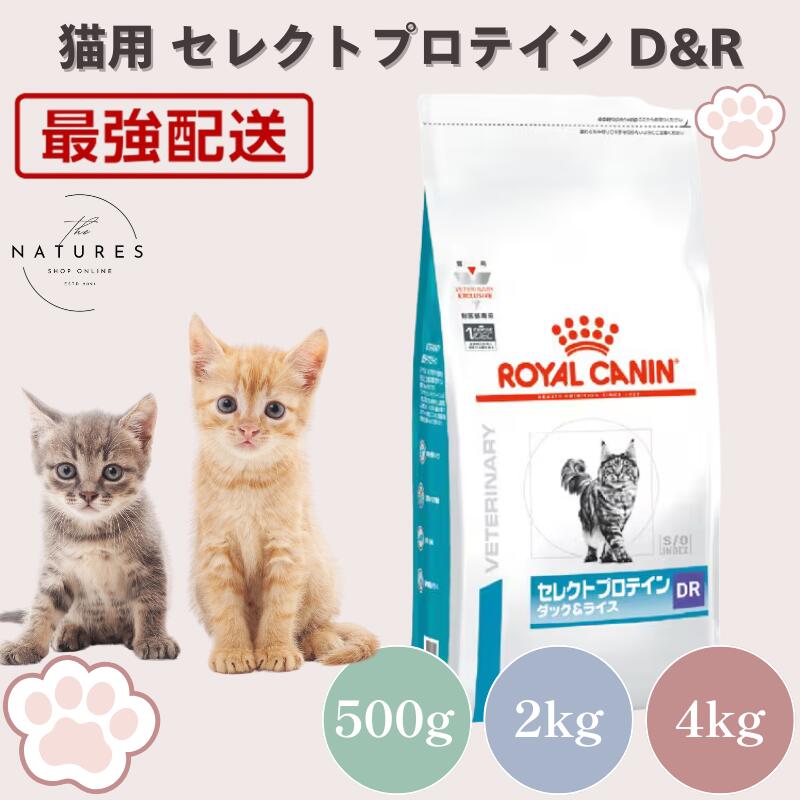 ロイヤルカナン セレクトプロテイン ダック&ライス 4kg」の人気商品