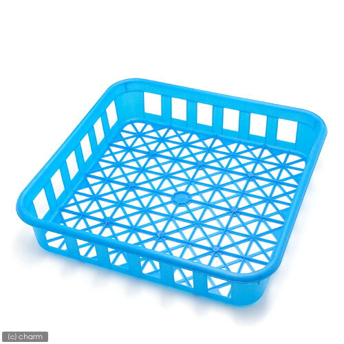 楽天市場】【3／5限定】当選確率2分の1！1等最大100％ ボトル