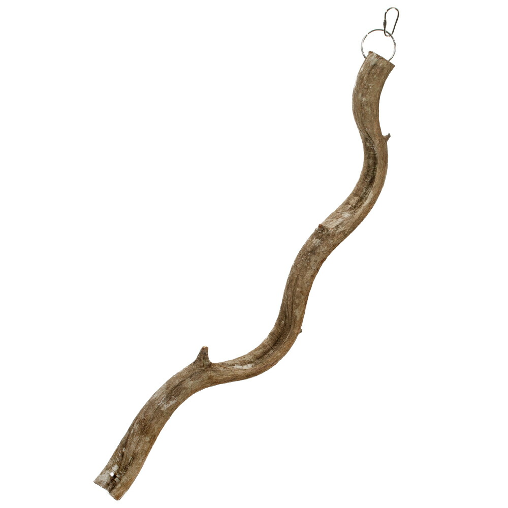 楽天市場】【3／5限定】当選確率2分の1！1等最大100％ 三晃