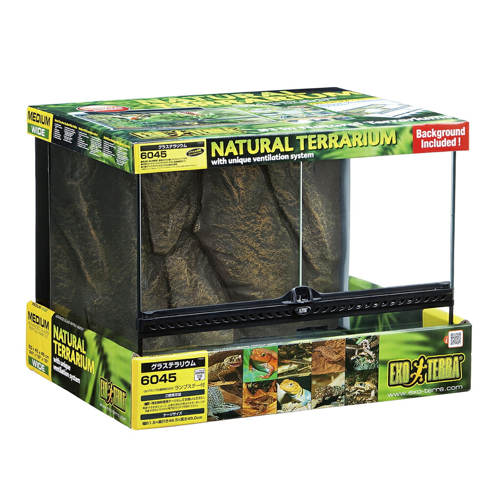 楽天市場】エキゾテラ グラステラリウム 9045の通販