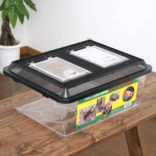 楽天市場】プラケース 飼育容器 特大フラット 黒（430×340