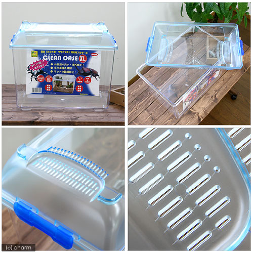 楽天市場】三晃商会 CLEAN CASE クリーンケース（XL