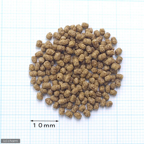 楽天市場】キョーリン のこのこカメさん 40g 餌 エサ 浮上性 小粒